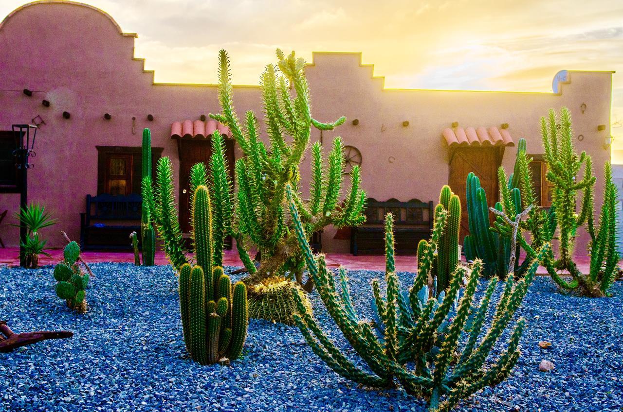 El Alamo Hotel Valle de Guadalupe Luaran gambar